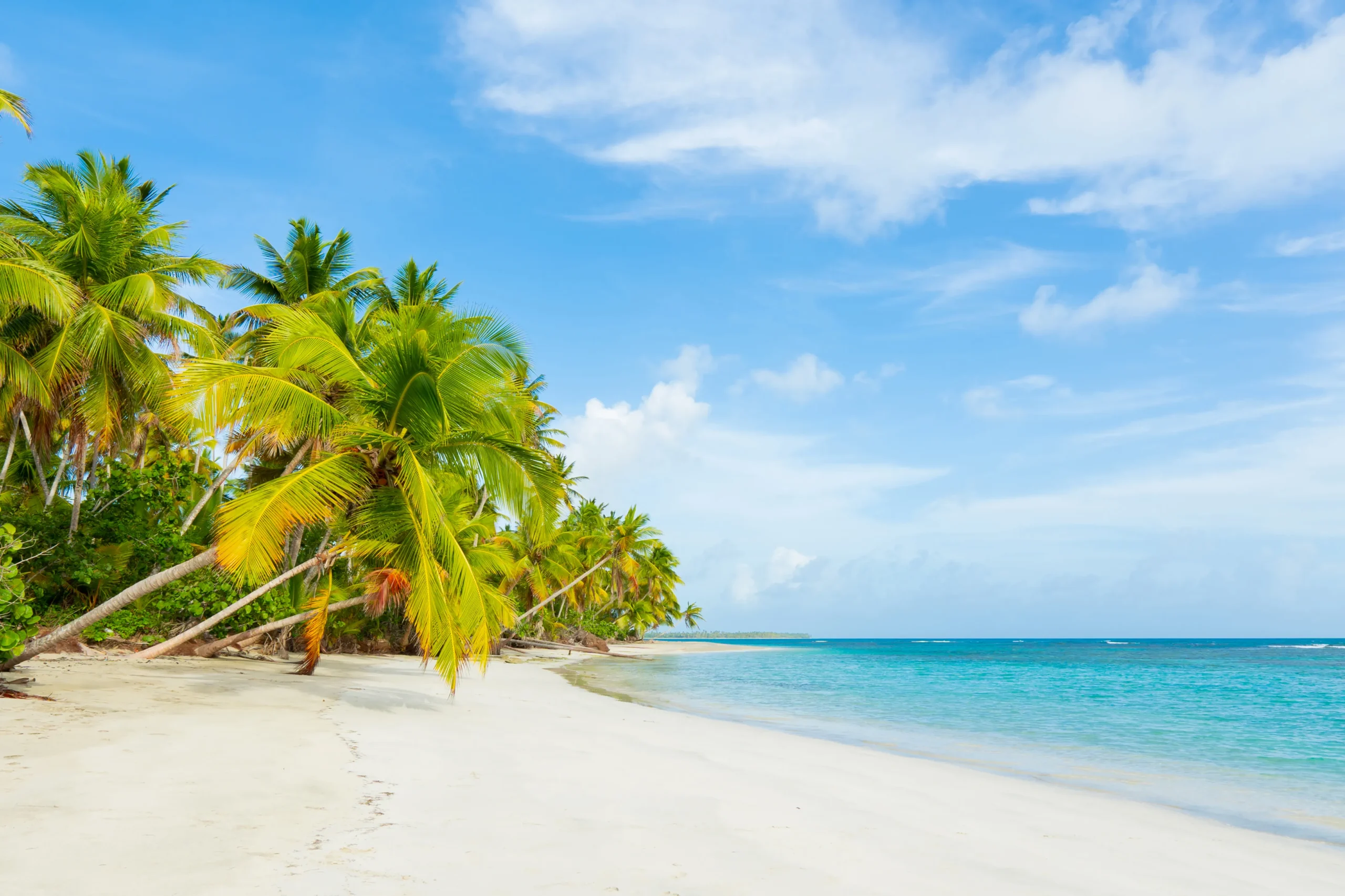 Palm Island Beach